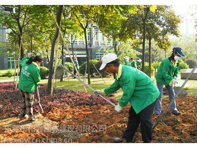 【供应东莞园林绿化养护管理、工业园绿化养护、花草护理图片】供应东莞园林绿化养护管理、工业园绿化养护、花草护理