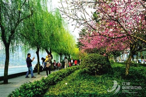 百图见证江津党史丨创建重庆山水园林城市