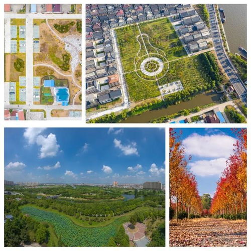 海安市城建集团董事长鲁德平带队调研园林绿化公司