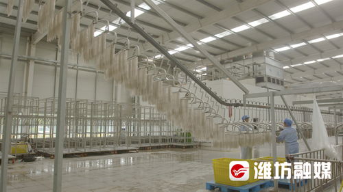 潍观 潍坊安丘 工业立市 背后的卓越力量
