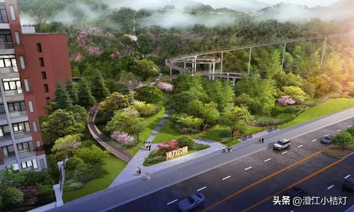 台州建设 温岭首条公园空中跑道 开放时间定了