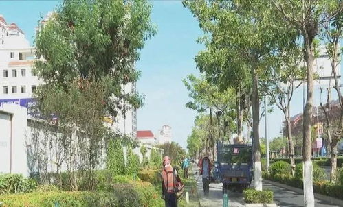 东方绿化美化靓化城市 提升群众幸福指数