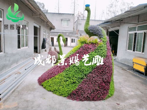 【花瓶绿雕造型定制,真植物蝴蝶造型花瓶造型花柱花球造型绿雕】- 
