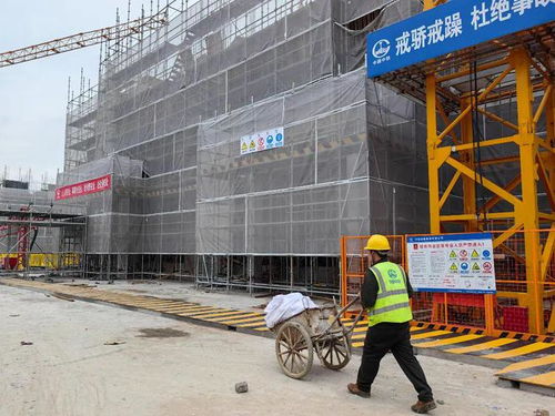 五一 不停工,青浦区安置房项目建设如火如荼