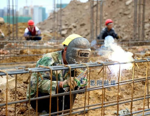 一切围绕项目干,一切围绕项目转丨登科山公园