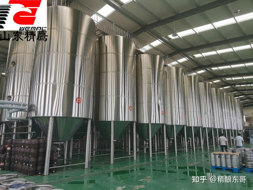 酿造啤酒的过程是怎样的