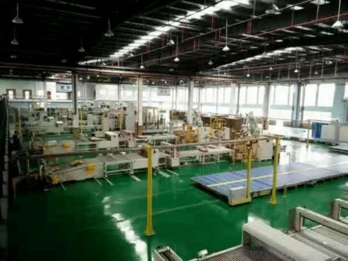 绿色共赢,创新发展 大胜达包装的全方位解决方案与木工工程建设