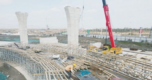 南通市海门区人民政府 推动绿化园林建设，打造生态宜居新家园