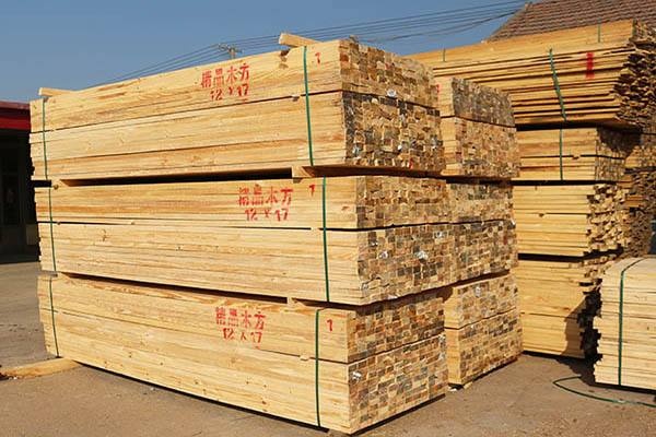 建筑工程中模板与木方使用比例解析及其在绿化园林建设中的延伸应用